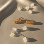 The Versatile Drop Earrings – 2 - in - 1 Design